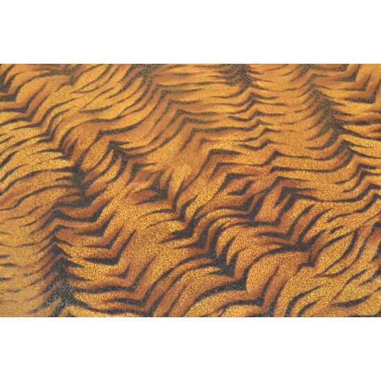 Tigris arany laminált táncruha anyag